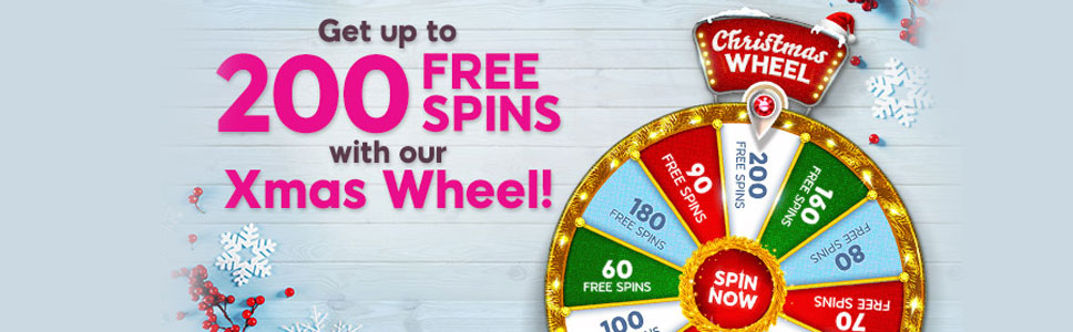 888 Ladies Bingo Christmas Wheel