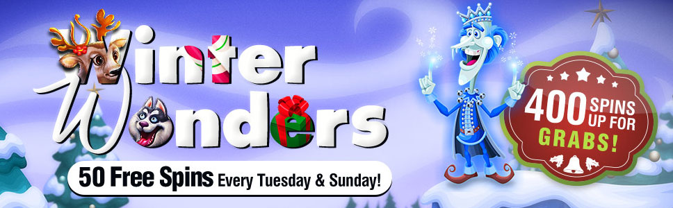 BingoFest Winter Wonder Promotion
