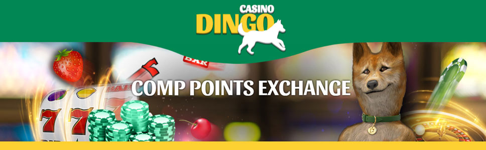 Casino Dingo Comp Points