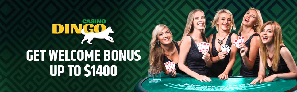 Casino Dingo Welcome Bonus