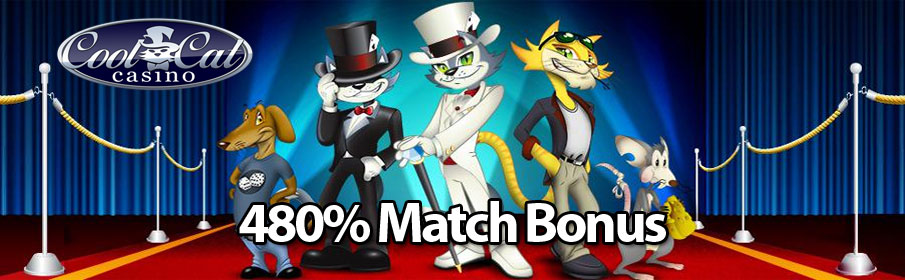 Cool Cat Casino VIP Bonus – Get 480% Match Offer