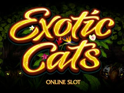 Exotic Cats Slot