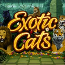 Exotic Cats Slot