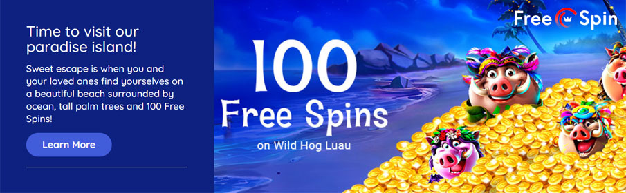 Free Spin Casino 