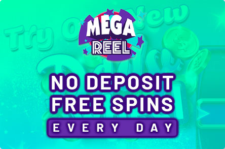 Mega Reel Casino No Deposit Free Spins Bonus