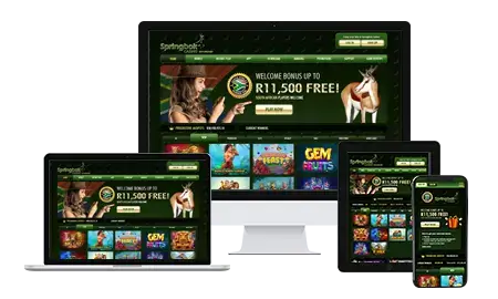 Springbok Casino Review