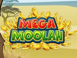 A Fortunate Win worth €10.7 Million on Mega Moolah Slot for Jackpot City Casino Player