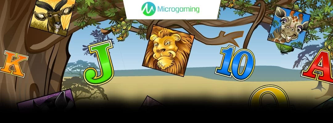 Microgaming's Mega Moolah makes another millionaire yet again!