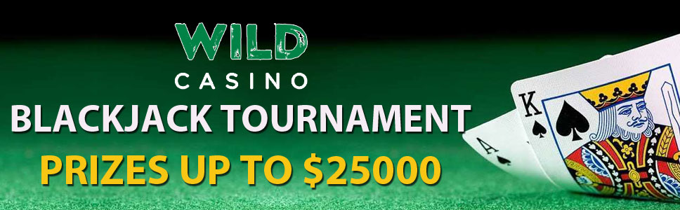 Wild Casino Blackjack Tournament Prizes 