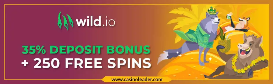 Wild io Casino 35% Deposit Bonus + 250 FS in Refer a Friend